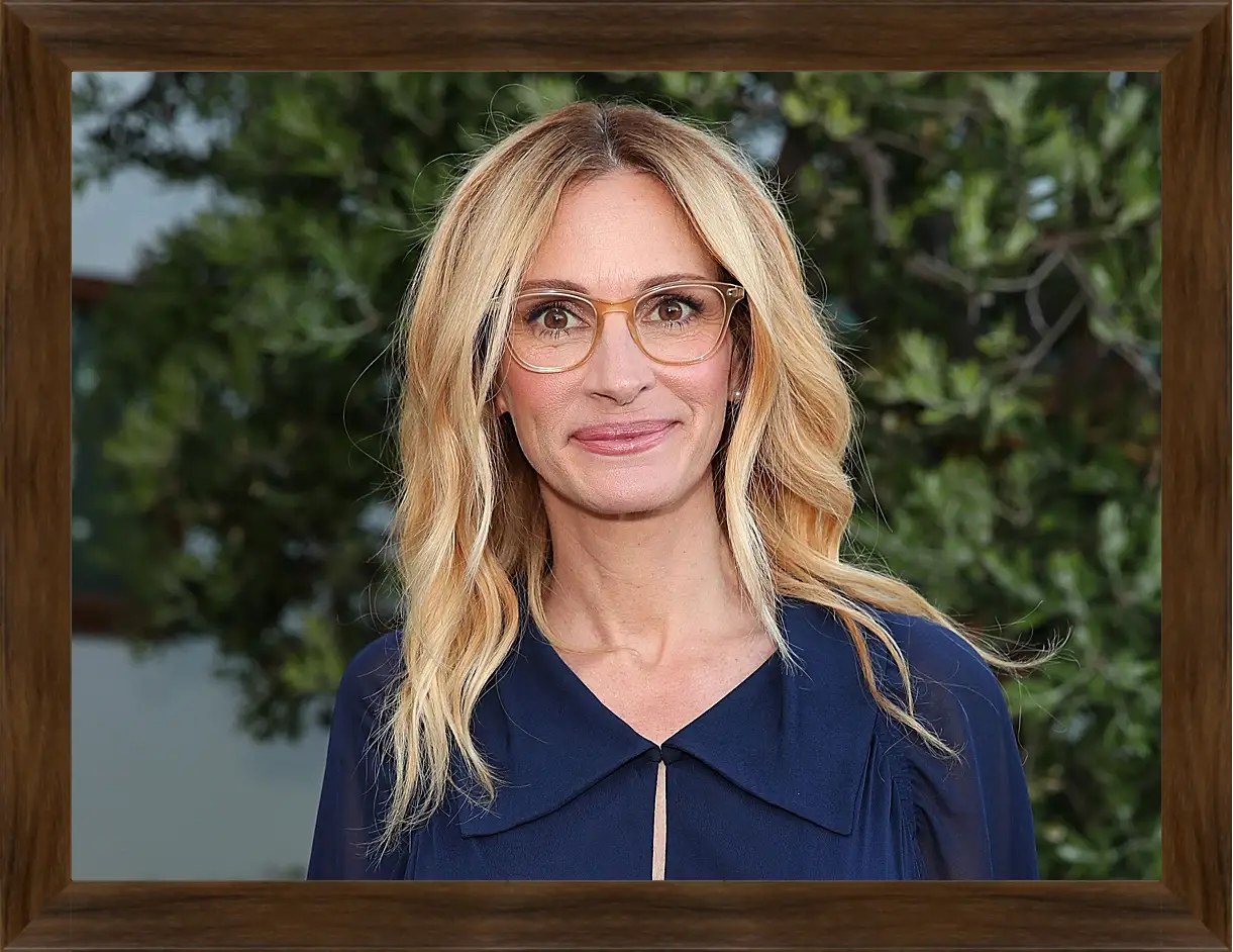 Картина в раме - Джулия Робертс. Julia Roberts