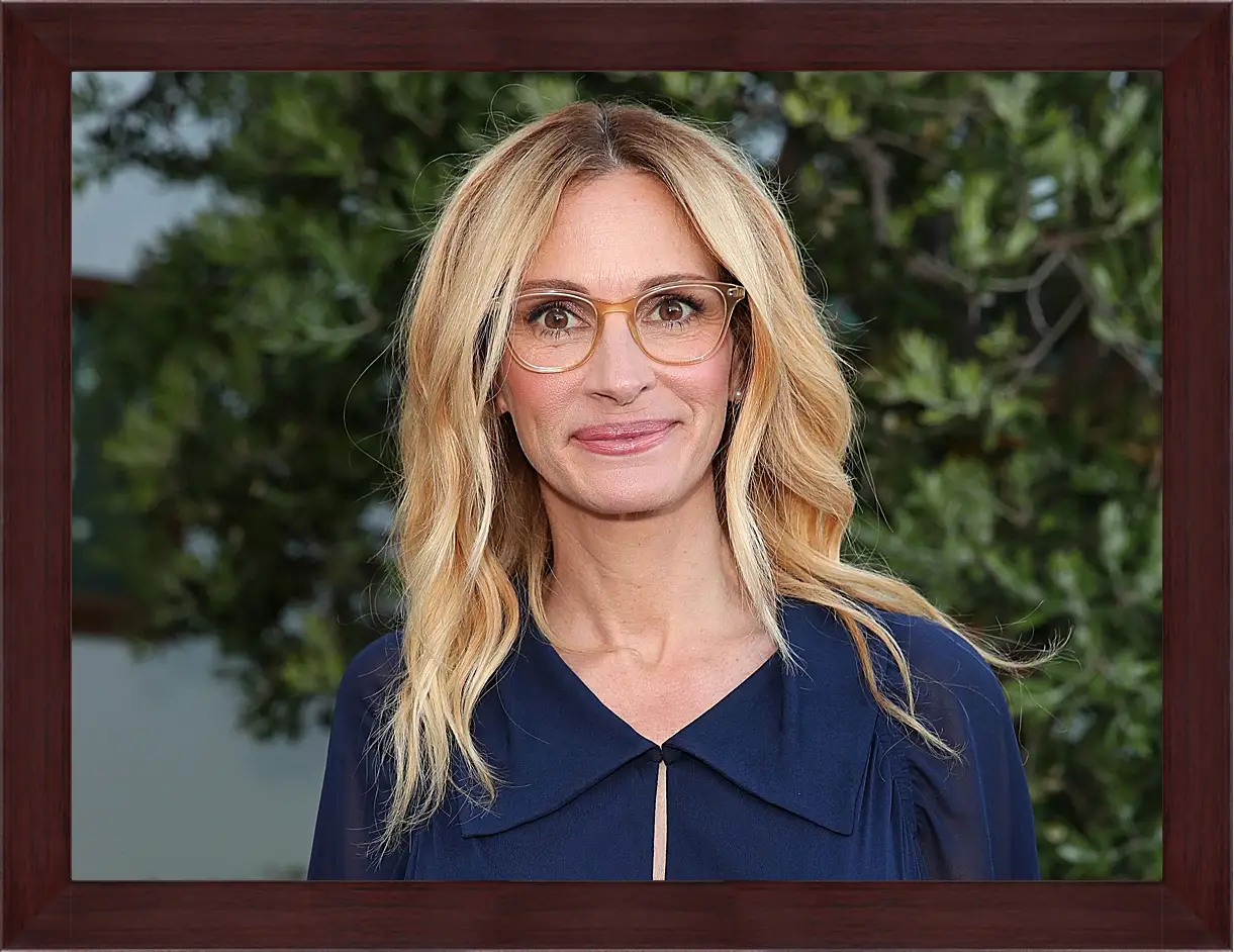 Картина в раме - Джулия Робертс. Julia Roberts