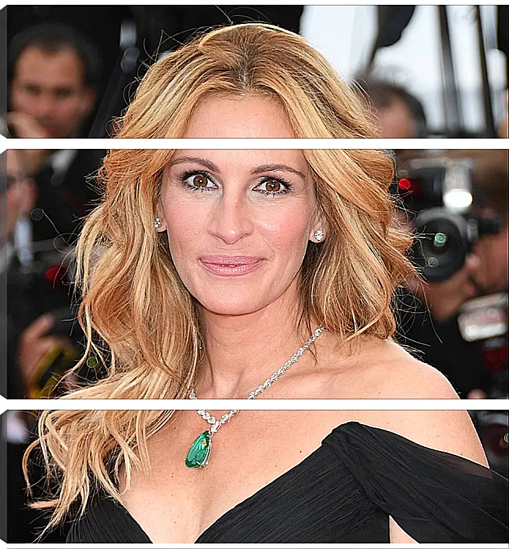 Модульная картина - Джулия Робертс. Julia Roberts