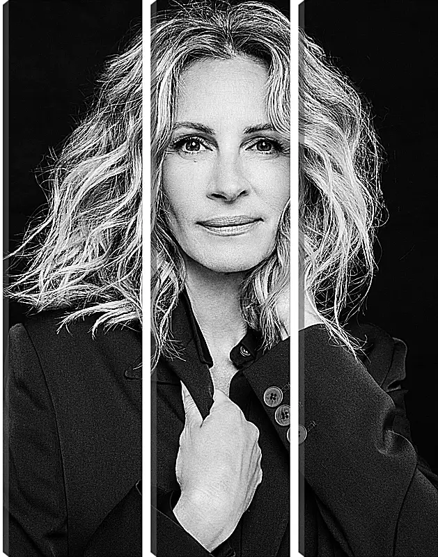 Модульная картина - Джулия Робертс. Julia Roberts