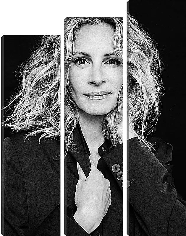 Модульная картина - Джулия Робертс. Julia Roberts