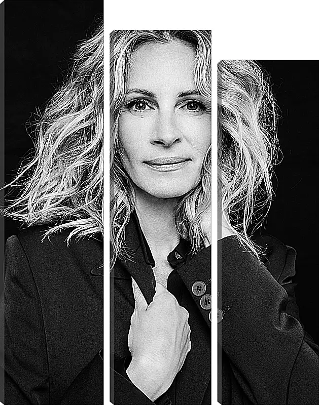 Модульная картина - Джулия Робертс. Julia Roberts