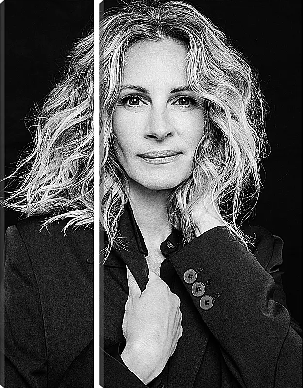 Модульная картина - Джулия Робертс. Julia Roberts