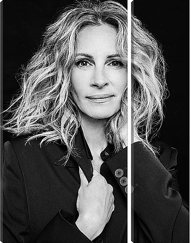 Модульная картина - Джулия Робертс. Julia Roberts