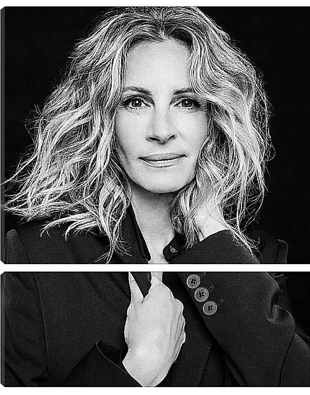 Модульная картина - Джулия Робертс. Julia Roberts