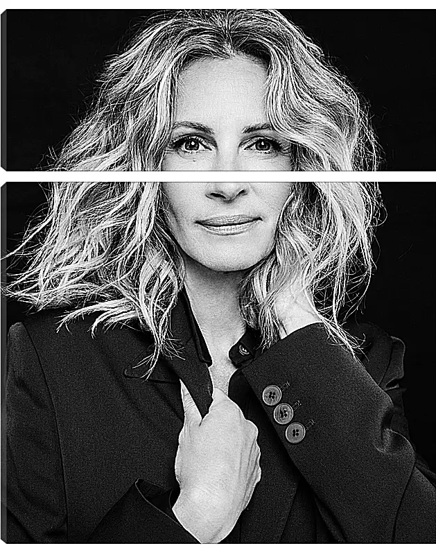 Модульная картина - Джулия Робертс. Julia Roberts