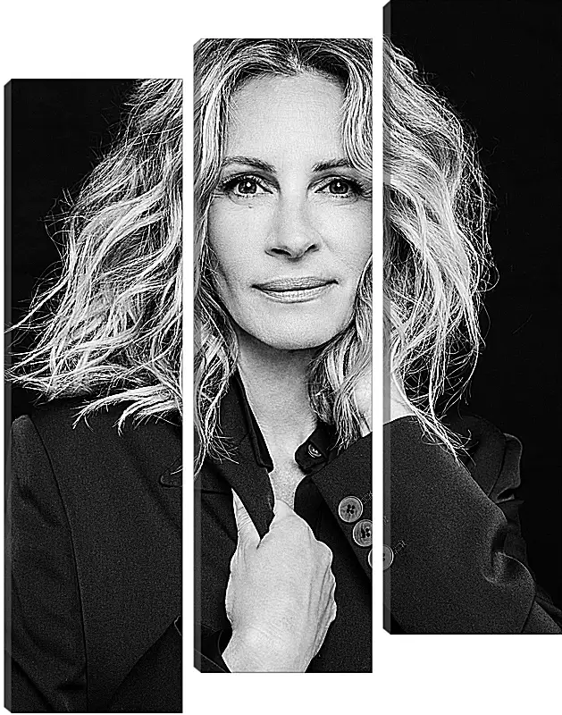 Модульная картина - Джулия Робертс. Julia Roberts