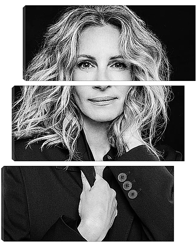 Модульная картина - Джулия Робертс. Julia Roberts