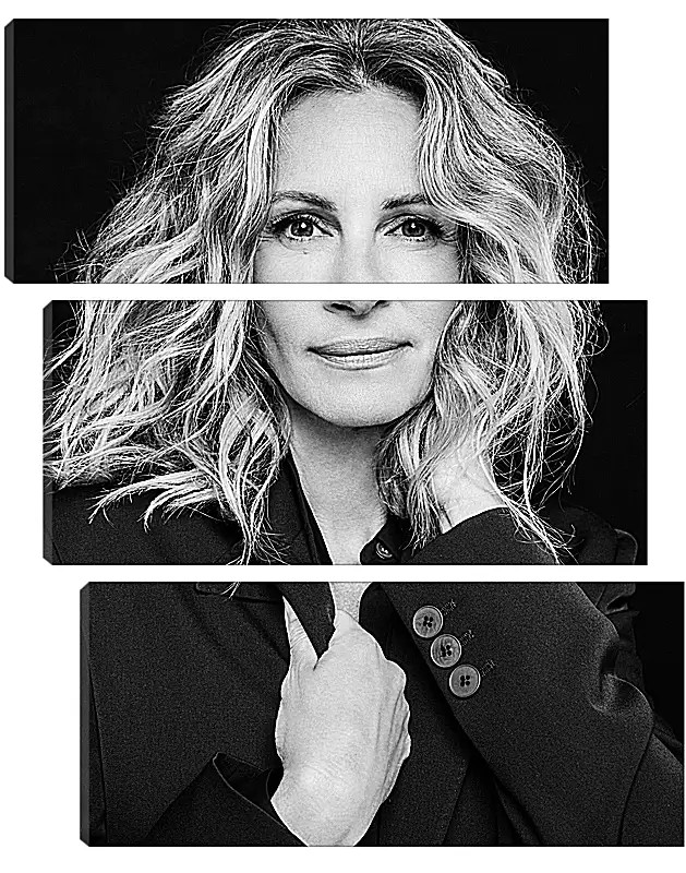 Модульная картина - Джулия Робертс. Julia Roberts