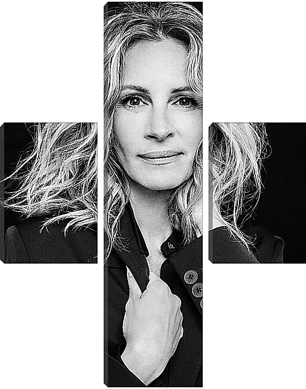 Модульная картина - Джулия Робертс. Julia Roberts