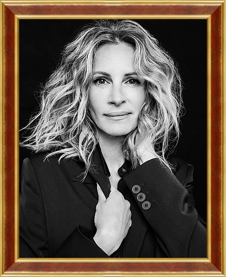 Картина в раме - Джулия Робертс. Julia Roberts