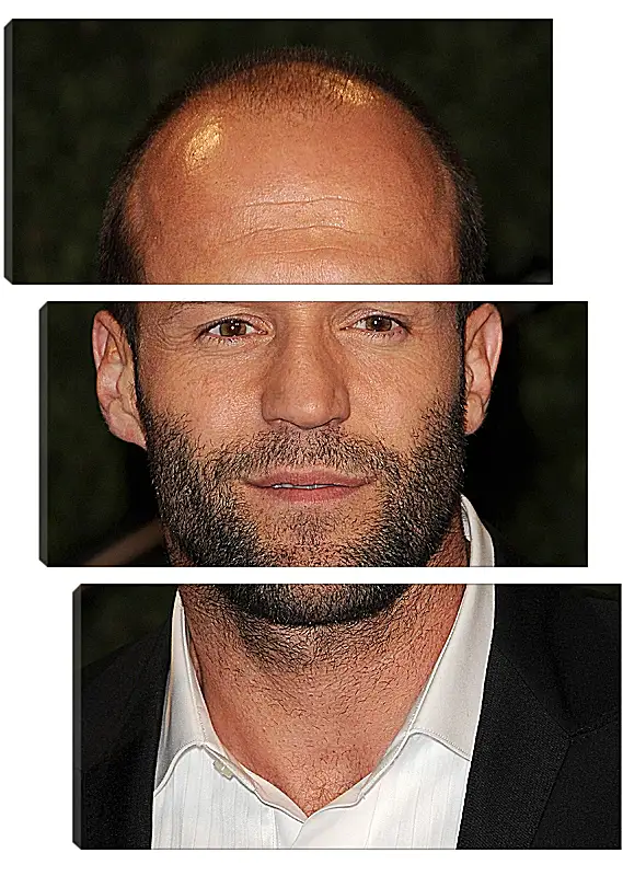 Модульная картина - Джейсон Стэтхэм. Jason Statham