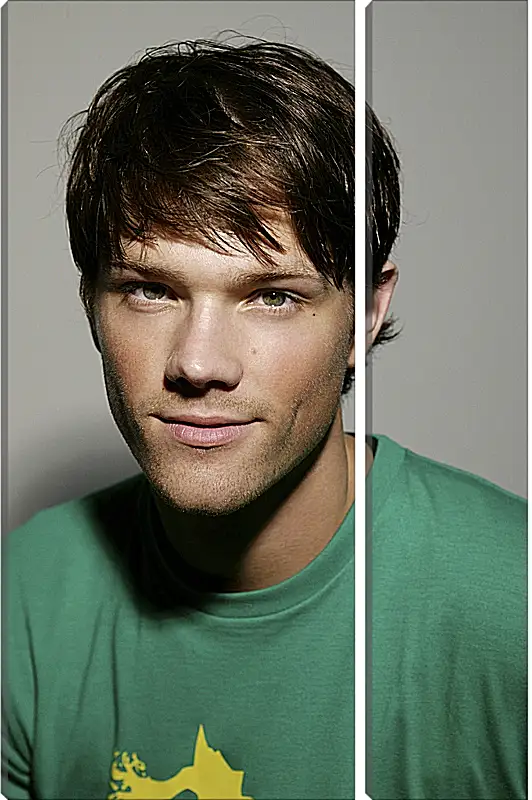 Модульная картина - Джаред Падалеки. Jared Padalecki