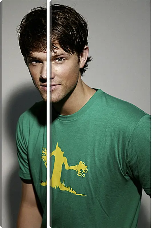 Модульная картина - Джаред Падалеки. Jared Padalecki
