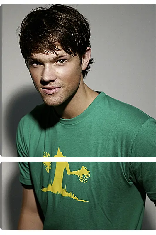 Модульная картина - Джаред Падалеки. Jared Padalecki