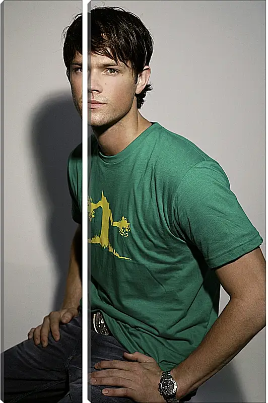 Модульная картина - Джаред Падалеки. Jared Padalecki