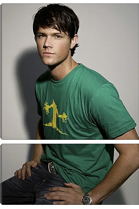 Модульная картина - Джаред Падалеки. Jared Padalecki