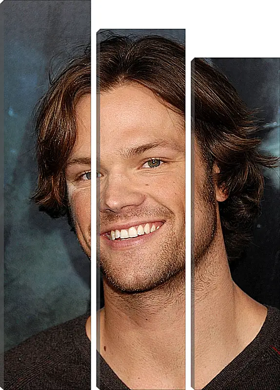 Модульная картина - Джаред Падалеки. Jared Padalecki