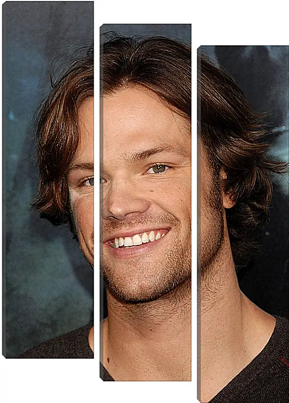 Модульная картина - Джаред Падалеки. Jared Padalecki