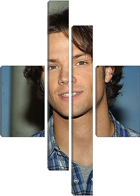 Модульная картина - Джаред Падалеки. Jared Padalecki