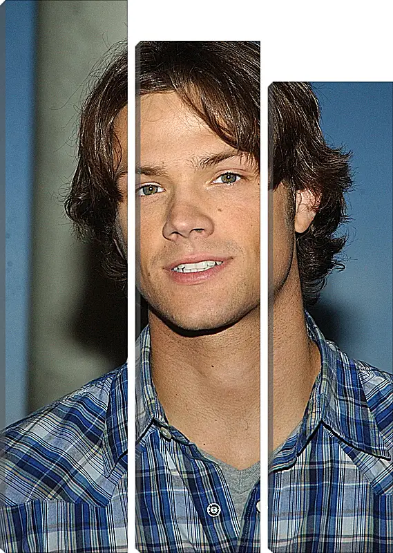 Модульная картина - Джаред Падалеки. Jared Padalecki