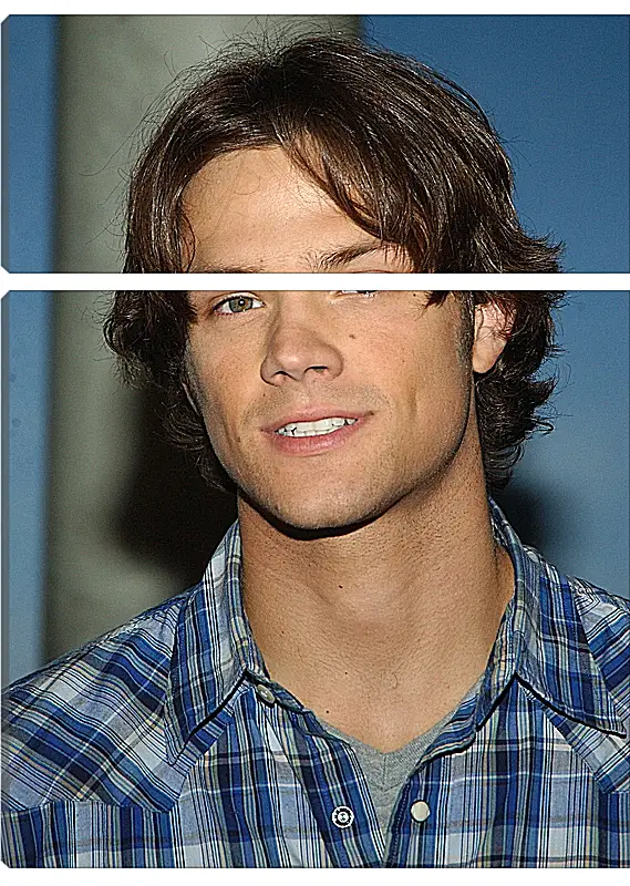 Модульная картина - Джаред Падалеки. Jared Padalecki