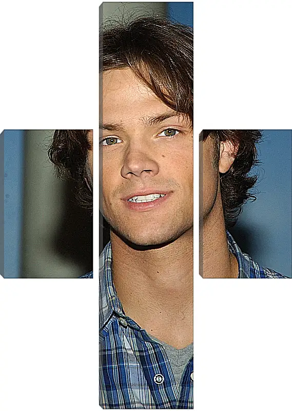 Модульная картина - Джаред Падалеки. Jared Padalecki