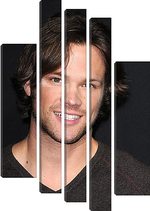 Модульная картина - Джаред Падалеки. Jared Padalecki