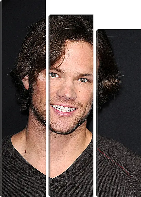 Модульная картина - Джаред Падалеки. Jared Padalecki