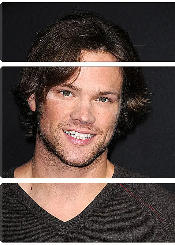 Модульная картина - Джаред Падалеки. Jared Padalecki