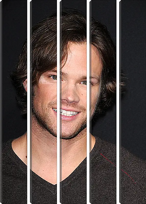 Модульная картина - Джаред Падалеки. Jared Padalecki