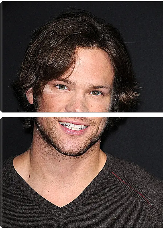 Модульная картина - Джаред Падалеки. Jared Padalecki