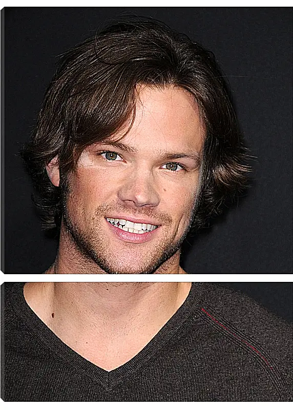 Модульная картина - Джаред Падалеки. Jared Padalecki