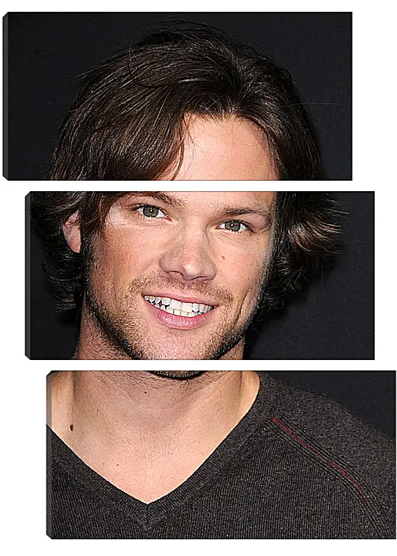 Модульная картина - Джаред Падалеки. Jared Padalecki