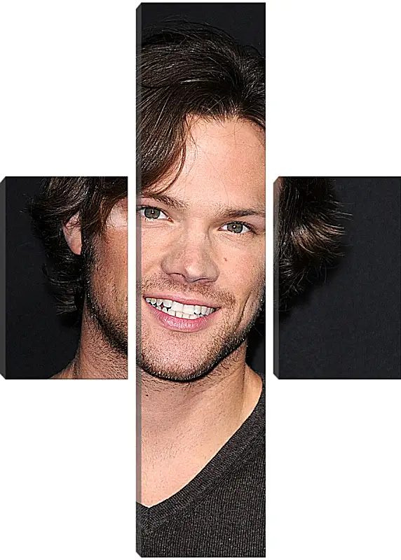 Модульная картина - Джаред Падалеки. Jared Padalecki