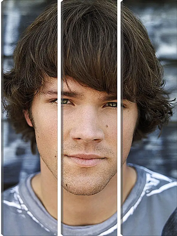 Модульная картина - Джаред Падалеки. Jared Padalecki