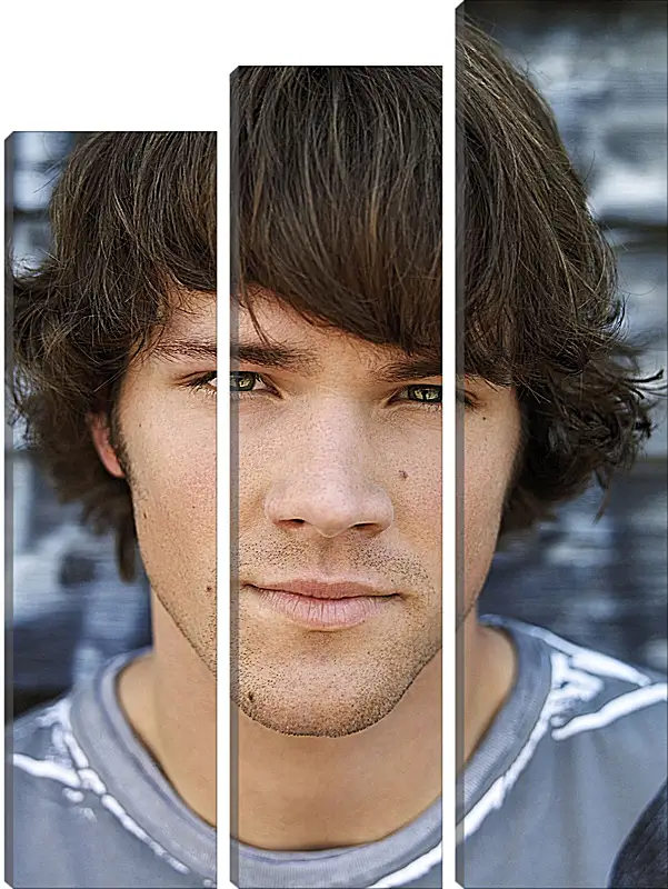 Модульная картина - Джаред Падалеки. Jared Padalecki