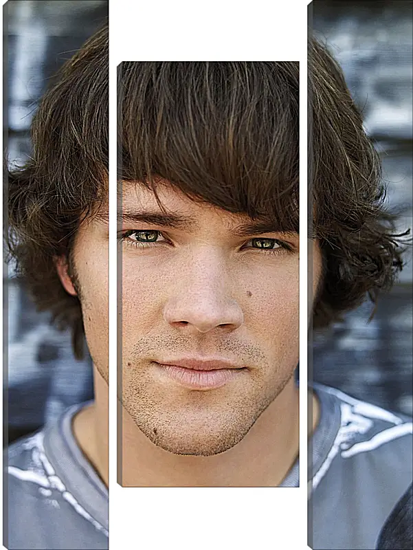 Модульная картина - Джаред Падалеки. Jared Padalecki