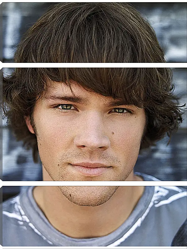 Модульная картина - Джаред Падалеки. Jared Padalecki