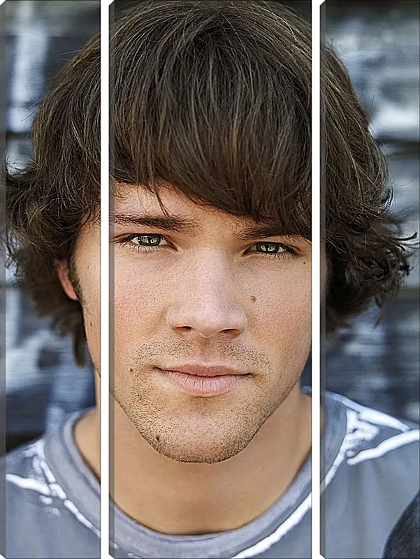 Модульная картина - Джаред Падалеки. Jared Padalecki