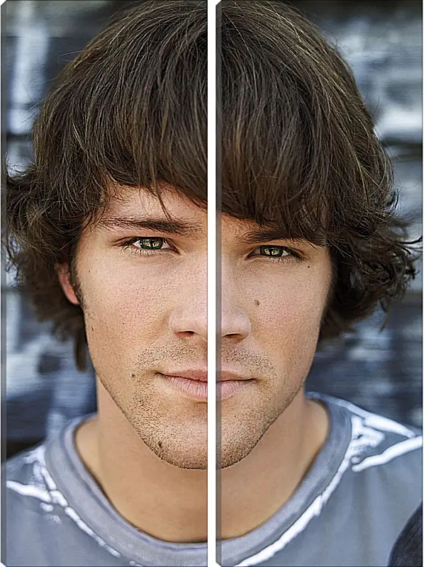 Модульная картина - Джаред Падалеки. Jared Padalecki