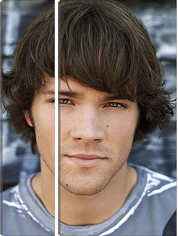 Модульная картина - Джаред Падалеки. Jared Padalecki