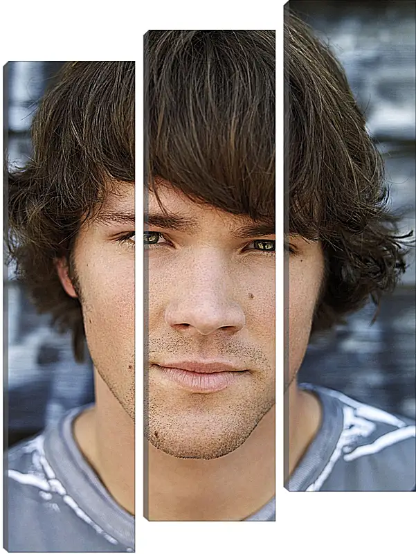 Модульная картина - Джаред Падалеки. Jared Padalecki