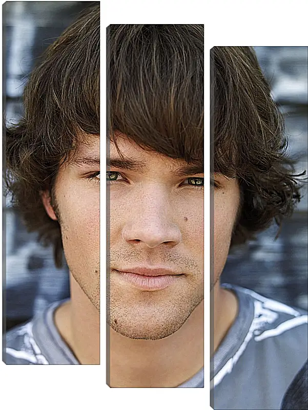 Модульная картина - Джаред Падалеки. Jared Padalecki