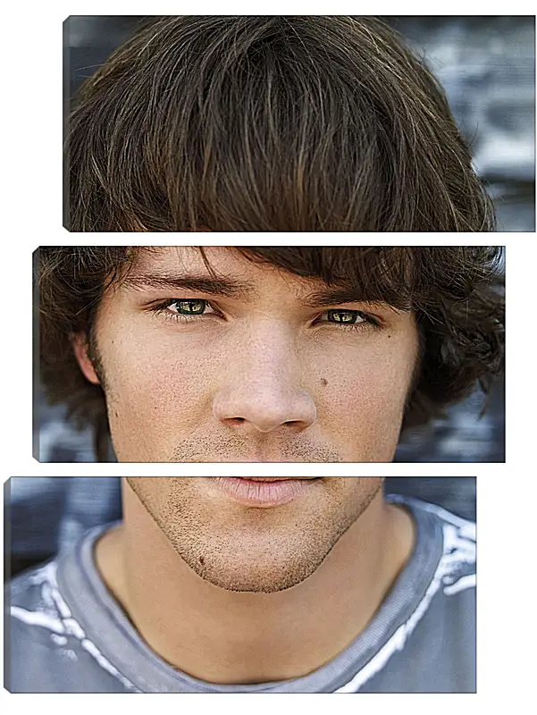 Модульная картина - Джаред Падалеки. Jared Padalecki