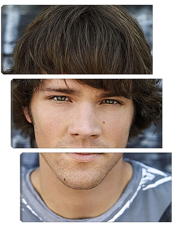 Модульная картина - Джаред Падалеки. Jared Padalecki