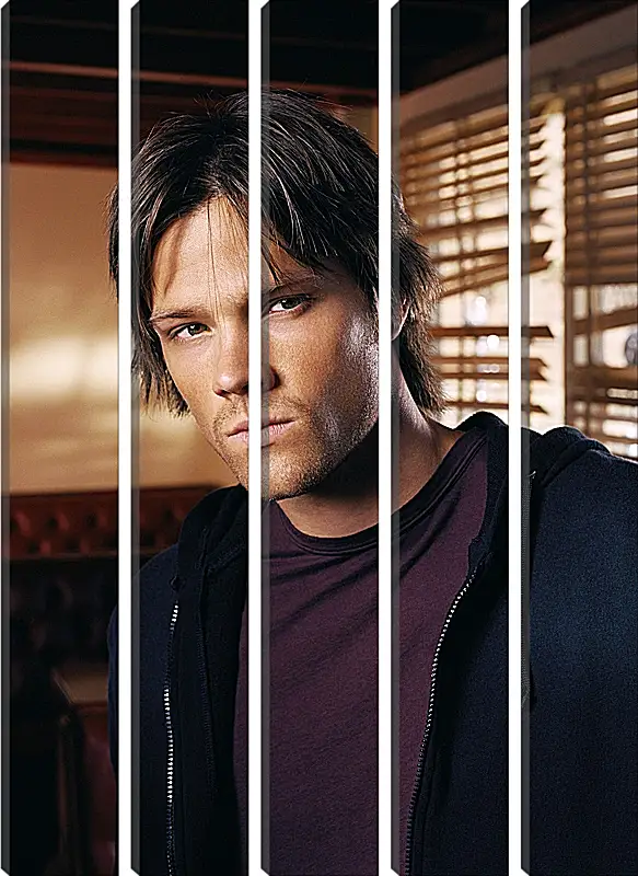 Модульная картина - Джаред Падалеки. Jared Padalecki