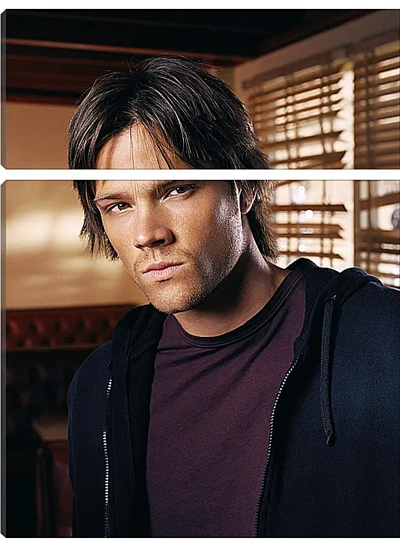 Модульная картина - Джаред Падалеки. Jared Padalecki