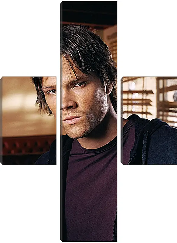 Модульная картина - Джаред Падалеки. Jared Padalecki