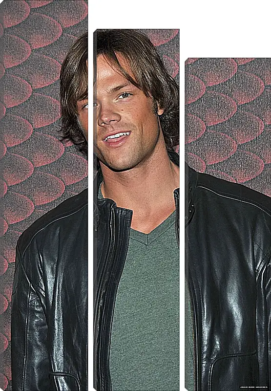 Модульная картина - Джаред Падалеки. Jared Padalecki